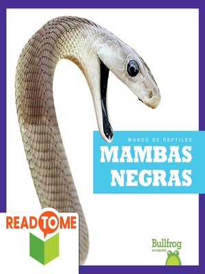 cover image of Mambas negras